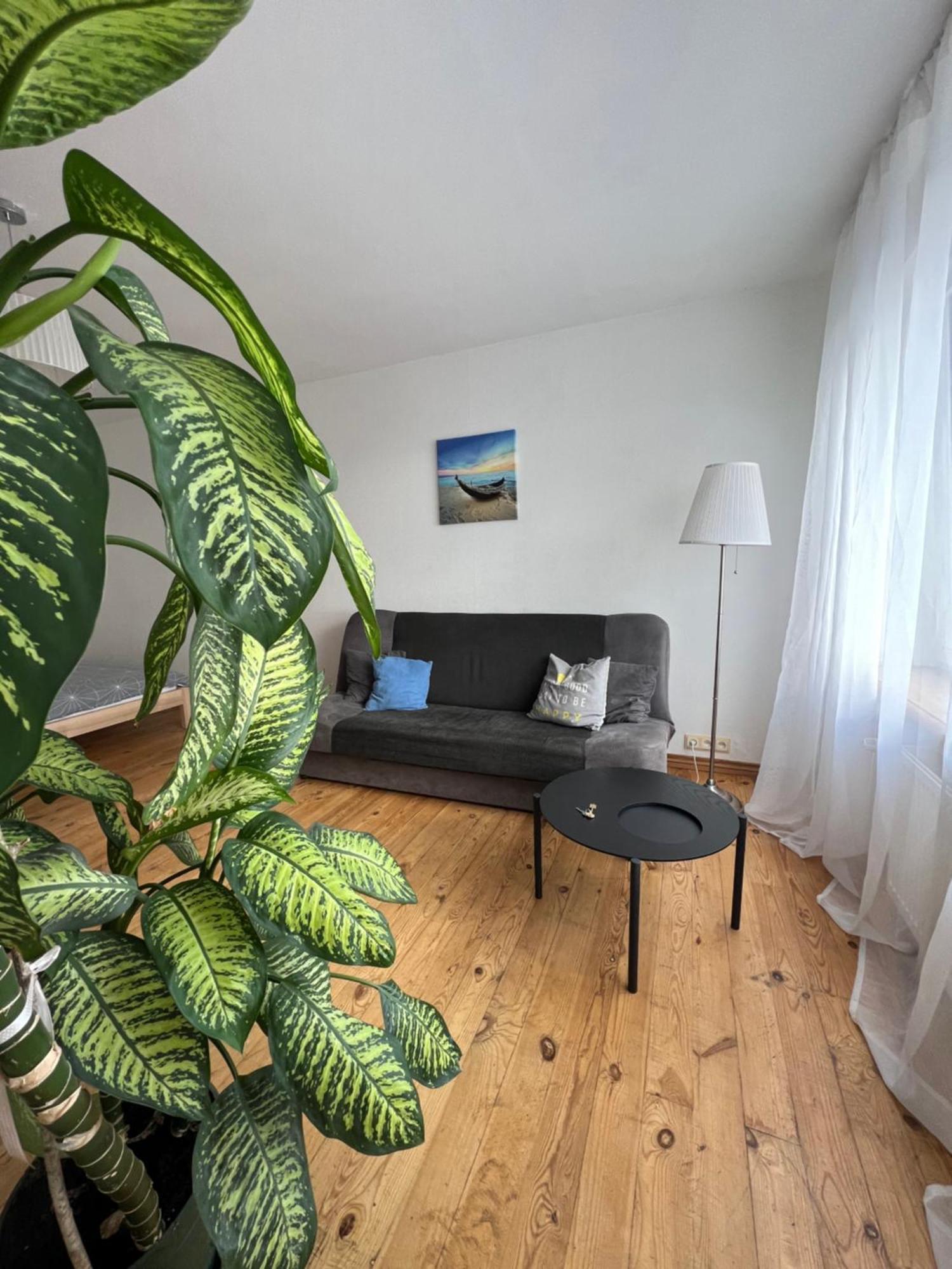 Amazing View Apartment Йелгава Екстериор снимка